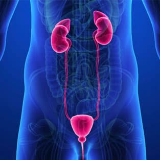 Urology